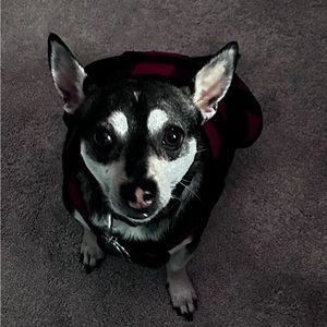 Meet your Posher, Cindy